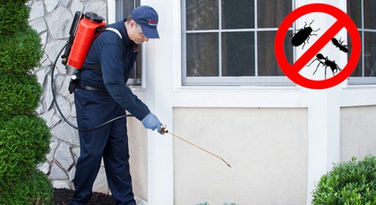 Alaçatı Böcek ve Haşere İlaçlama böcek ilaçlama ve haşere kontrolü — ilaclama-tr.com